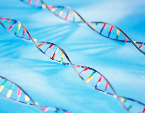 多肽合成 多肽合成