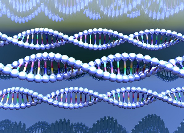 偶联蛋白 偶联蛋白