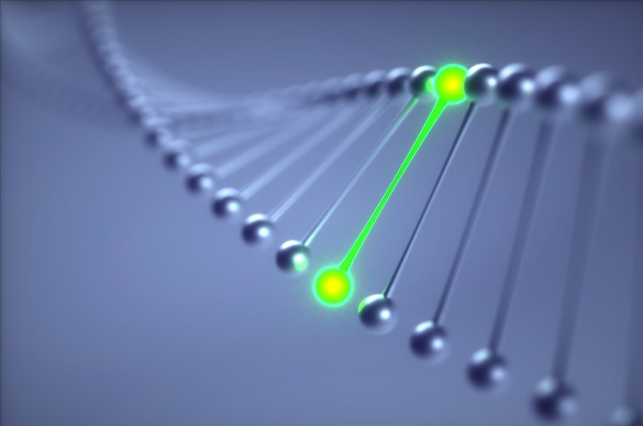 多肽荧光探针 多肽荧光探针