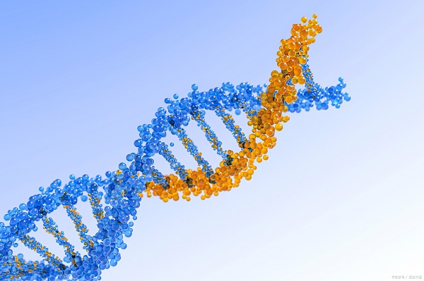 荧光蛋白标记 荧光蛋白标记